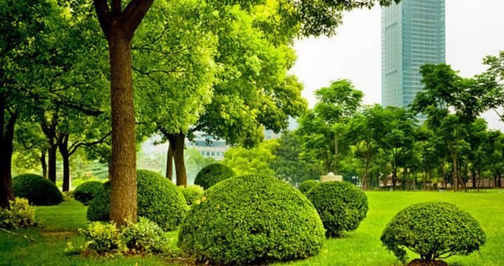 How Commercial Landscape Design Can Improve Curb Appeal and Property Value