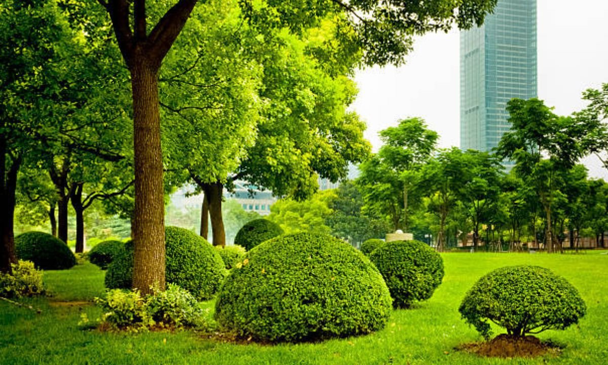 Commercial Landscape Design
