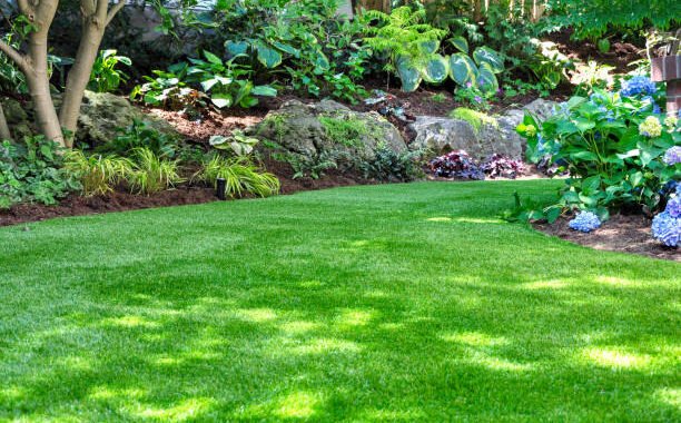 Always Green Landscaping: Expert Lawn Care and Landscape Services in Myrtle Beach