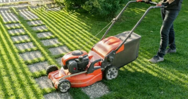 Best Lawn Service Bryan TX: Expert Care Guide