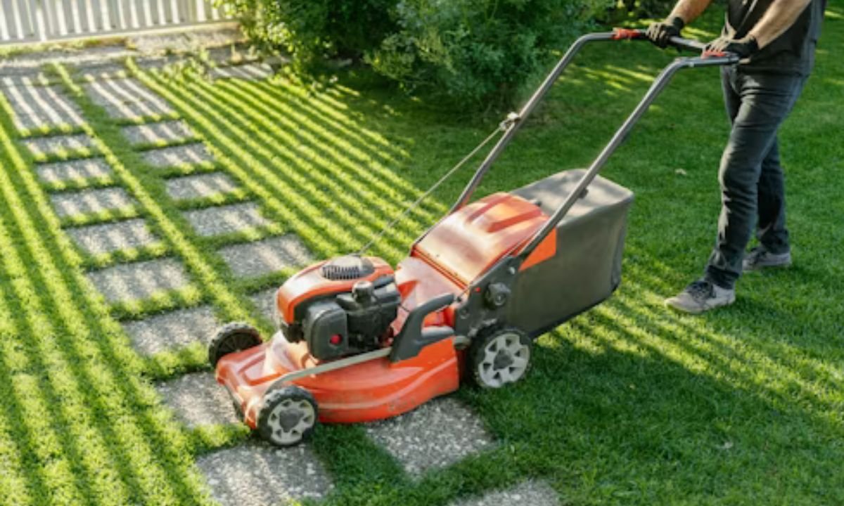 lawn service bryan tx