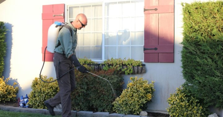 Spring Cleaning and Pest Prevention in Chicago: How to Protect Your Home and Health
