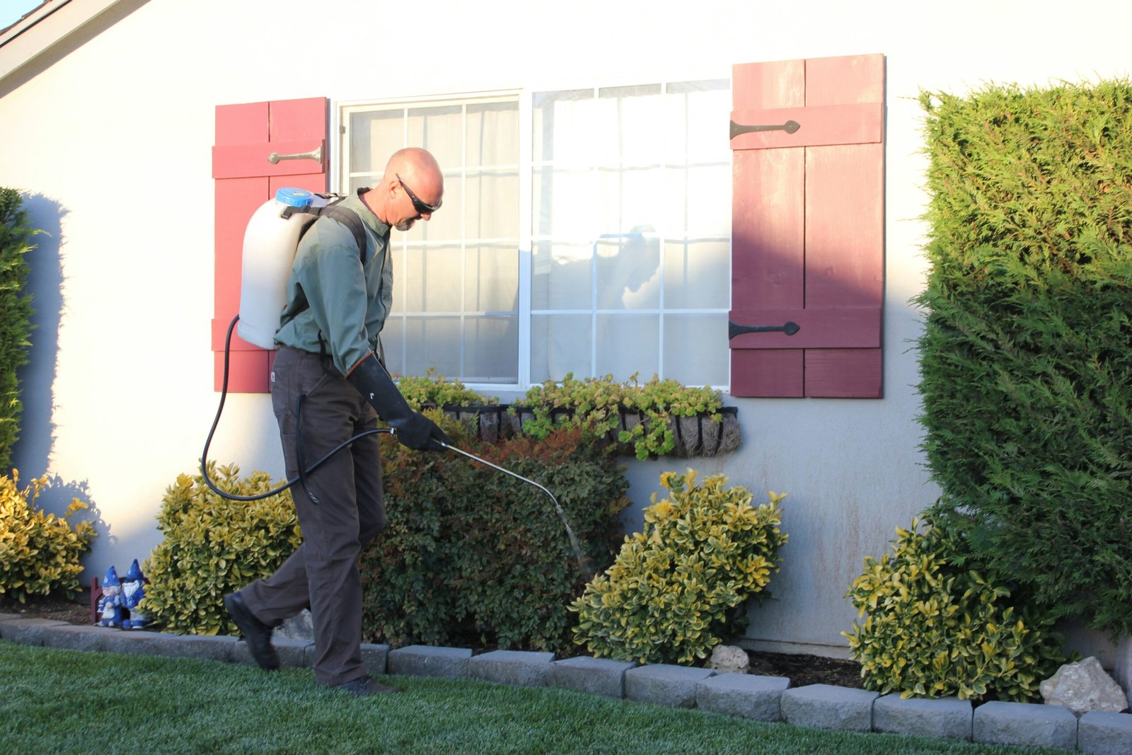 How to Protect Your Home and Health
